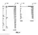 Fig. 07 - Systems and methods for asymmetrical formatting of word spaces according to the uncertainty between words