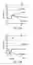 Fig. 131 - RETROSPECTIVE SENSOR SYSTEMS, DEVICES, AND METHODS