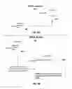 Fig. 11 - Monitoring executed script for zero-day attack of malware