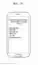 Fig. 33 - Privacy protection method in a terminal device and the terminal device