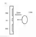 Fig. 01 - Biometric identification