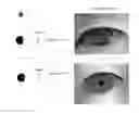 Fig. 01 - Apparatus and method for acquiring iris image outdoors and indoors