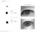 Fig. 02 - Apparatus and method for acquiring iris image outdoors and indoors