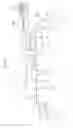Fig. 02 - Image forming apparatus having a groove forming part to form a groove on a base member