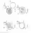 Fig. 07 - Jewellery with tag