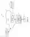Fig. 10 - Linearly augmented neural network