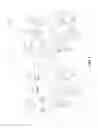 Fig. 08 - Multi-modal neural network for universal, online learning