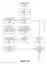 Fig. 17 - Anonymous Cognitive Profile
