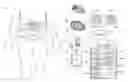 Fig. 01 - CONTROLLED ORDERING OF SUPPLIES FOR MEDICAL DEVICES AND SYSTEMS