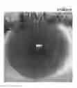 Fig. 01 - Method of avoiding biometrically identifying a subject within an image