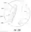 Fig. 27 - SYSTEM FOR COSMETIC AND THERAPEUTIC TRAINING