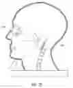 Fig. 30 - SYSTEM FOR COSMETIC AND THERAPEUTIC TRAINING