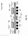 Fig. 16 - Memory system topologies including a buffer device and an integrated circuit memory device