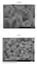 Fig. 03 - Anisotropic magnetic powders and method of producing the same