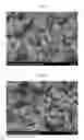 Fig. 04 - Anisotropic magnetic powders and method of producing the same