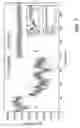 Fig. 10 - Active stabilization of ion trap radiofrequency potentials