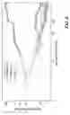 Fig. 11 - Active stabilization of ion trap radiofrequency potentials