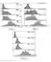 Fig. 06 - Method for producing nanocrystals with controlled dimensions and density