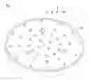 Fig. 02 - Mounting member
