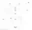 Fig. 04 - Method of forming metal interconnection