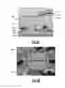Fig. 08 - DEVICES AND METHODS RELATED TO A SPUTTERED TITANIUM TUNGSTEN LAYER FORMED OVER A COPPER INTERCONNECT STACK STRUCTURE