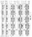 Fig. 12 - SYSTEM AND METHOD FOR PROVIDING 3D WAFER ASSEMBLY WITH KNOWN-GOOD-DIES