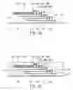 Fig. 08 - Thin fan-out multi-chip stacked packages and the method for manufacturing the same