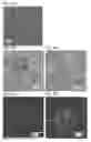 Fig. 34 - Semiconductor device and memory device including the semiconductor device