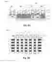 Fig. 04 - Method to fabricate uniform tunneling dielectric of embedded flash memory cell