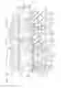 Fig. 29 - Semiconductor device and manufacturing method thereof