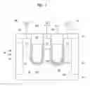 Fig. 08 - Semiconductor device having buried gate structure, method for manufacturing the same, and memory cell having the same