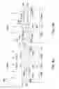 Fig. 10 - Method of forming gate structure of a semiconductor device