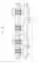Fig. 32 - Semiconductor devices including a stressor in a recess and methods of forming the same