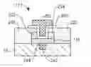 Fig. 01 - Carbon nanostructure device fabrication utilizing protect layers