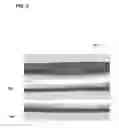 Fig. 07 - PV-MODULE AND METHOD FOR MAKING A SOLDER JOINT
