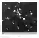 Fig. 03 - Methods of growing heteroepitaxial single crystal or large grained semiconductor films and devices thereon
