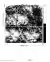 Fig. 08 - Methods of growing heteroepitaxial single crystal or large grained semiconductor films and devices thereon