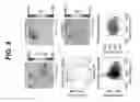 Fig. 09 - Device with transparent and higher conductive regions in lateral cross section of semiconductor layer