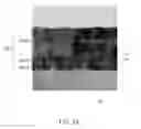 Fig. 08 - Light-emitting device