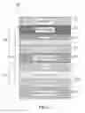 Fig. 06 - Ultrathin perpendicular pinned layer structure for magnetic tunneling junction devices
