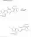 Fig. 37 - POLYMER COMPOUND AND ORGANIC SEMICONDUCTOR DEVICE USING THE SAME