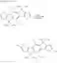 Fig. 44 - POLYMER COMPOUND AND ORGANIC SEMICONDUCTOR DEVICE USING THE SAME