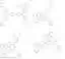 Fig. 22 - Organic light-emitting device