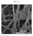 Fig. 02 - Reversible fuel cell oxygen electrode, reversibli fuel cell including the same, and method for preparing the same