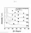 Fig. 06 - Reversible fuel cell oxygen electrode, reversibli fuel cell including the same, and method for preparing the same