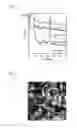 Fig. 02 - Iron compound particles, method for producing the iron compound particles, and oxidation catalyst using the iron compound particles