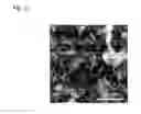 Fig. 03 - Iron compound particles, method for producing the iron compound particles, and oxidation catalyst using the iron compound particles