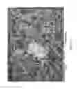 Fig. 22 - Proton exchange membrane and manufacturing method thereof