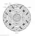 Fig. 20 - Motor