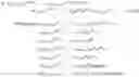 Fig. 02 - Enhanced cyclical redundancy check circuit based on galois-field arithmetic